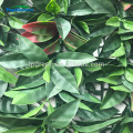 decorative indoor outdoor plastic plant artificial ivy leaves fence